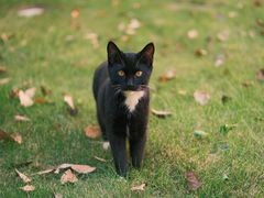 -浙江万里学院(钱湖校区)