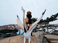 -罗田薄刀峰风景区