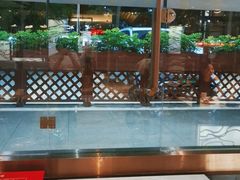 -青蓬蒸汽海鲜·深圳老字号·团建聚会(壹方城店)