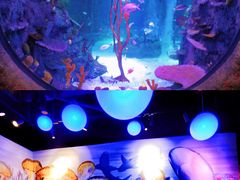 -沈阳海洋探索中心