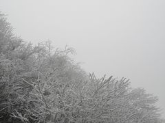 -秦岭风景区