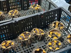 -恒达综合农贸市场(黄山路店)