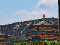 -龙口南山旅游景区