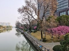 -杭州城北体育公园