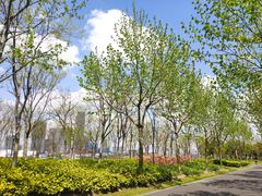 -上海山野camping·户外天幕烧烤·团建拓展营地
