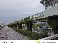 -乐海堂(乐海路旗舰店)