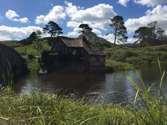 Hobbiton&nbsp;Movie&nbsp;Set&nbsp;Tours-霍比特人村