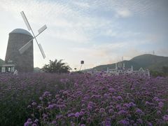 -玫瑰海岸文化旅游度假区