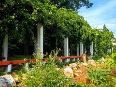 -国家植物园南园