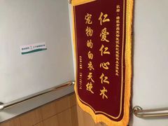 -瑞派宠物医院·中兽医专科(中央商城分院)