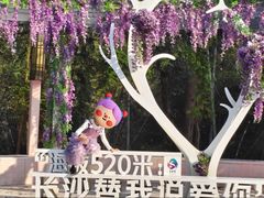 -长沙黑麋峰国家森林公园