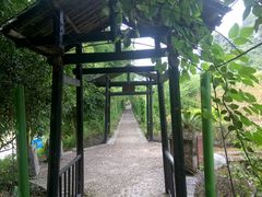 -荔江湾景区