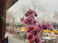 -满堂·烤鸭店·北京菜(鼓楼店)