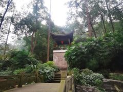 -忠山公园