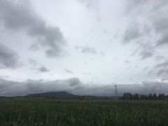 -松林阁烤肉(延大店)