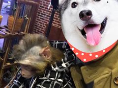 -盤古Spa泰式古法抓龙筋(鲁迅路店)