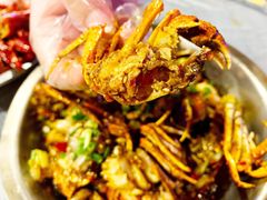-虎虎龙虾大排档(双井店)