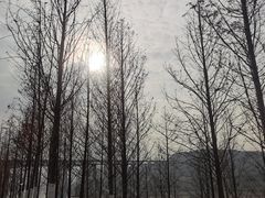 -金海湾滨江公园