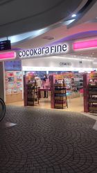 门面-cocokarafine可开嘉来