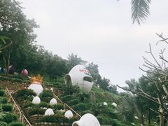 -100蛋泥浆浴