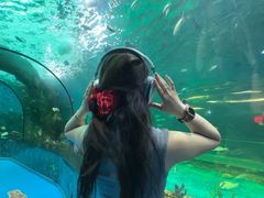 -大明湖海底世界