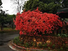 -杭州六谷生态休闲农庄有限公司