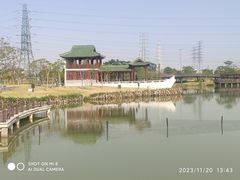 -王借岗森林公园