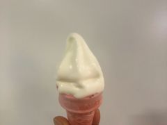 -麦当劳(东门店)