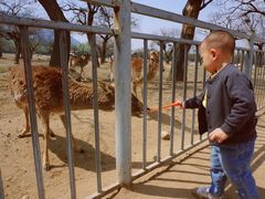 -西安秦岭野生动物园