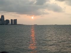 -万绿园