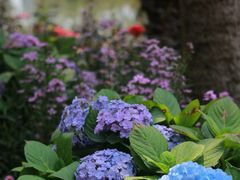 -人民公园(罗湖区)