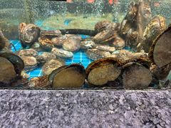 -渔码头食府(蓬莱阁店)