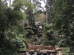 -青城山
