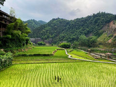 -程阳八寨景区