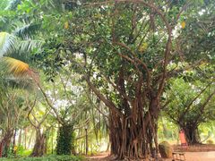 -白沙门生态公园