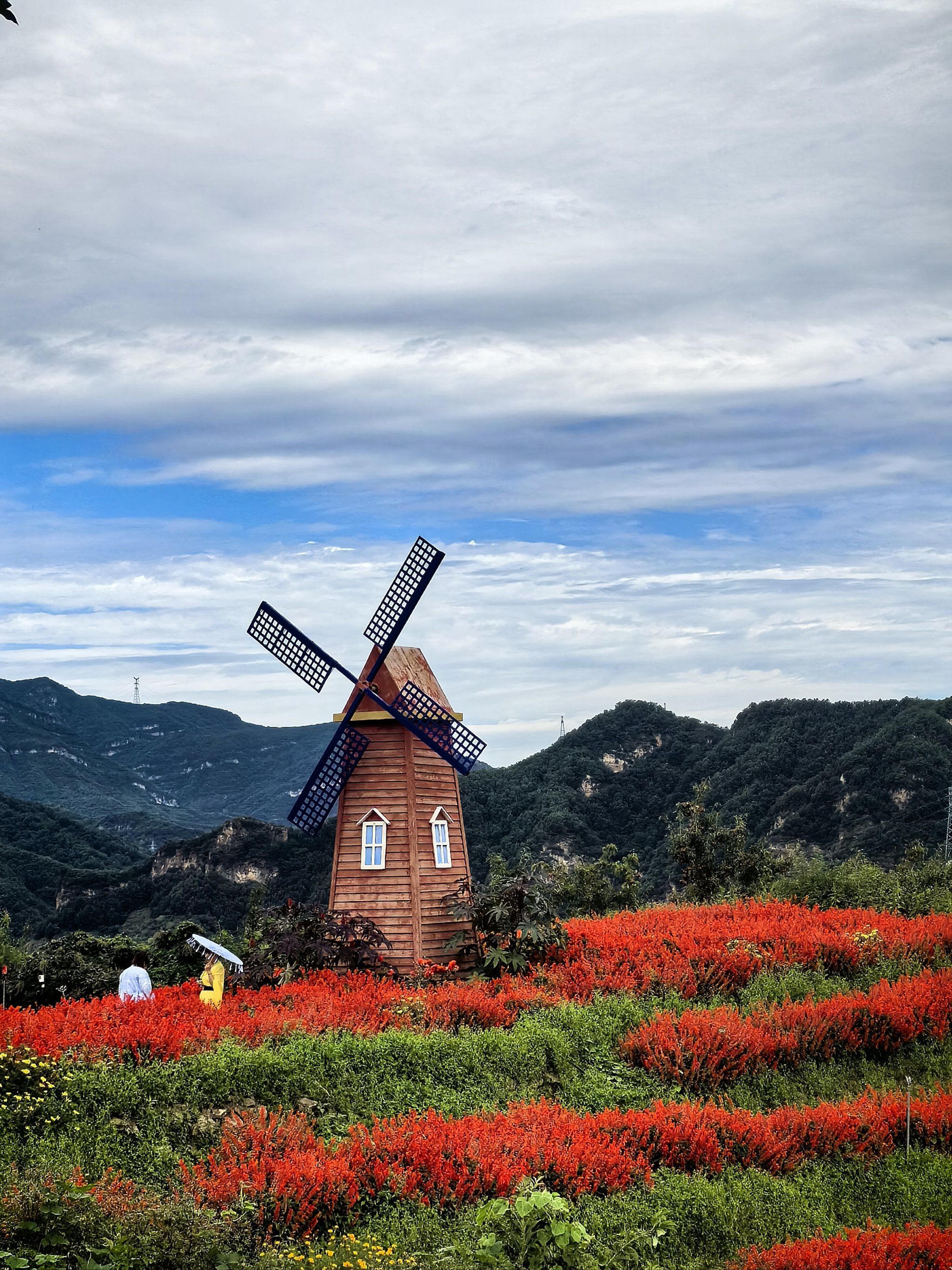 高山花海南天丽景