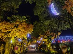-横店影视城梦幻谷园区