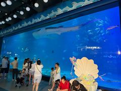 -烟台海昌鲸鲨海洋公园
