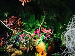 -花漫里·日式の创意餐厅(刺桐店)