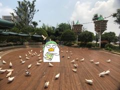 -南昌之星摩天轮