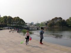 -新江湾城公园