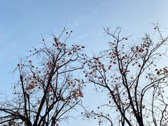 -齐白石旧居纪念馆