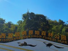 -西双版纳原始森林公园