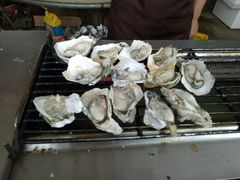 -蚝乡农庄(铁涌赤岸店)