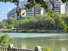 -光明港公园