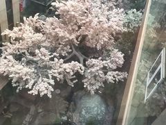 -嘉悦汗蒸时代(曙光路店)