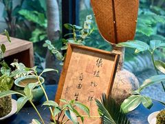-自由生长植物工作室(深港花卉中心店)