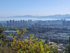 -府君山公园