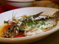 -凤中皇清远鸡村(凤城店)