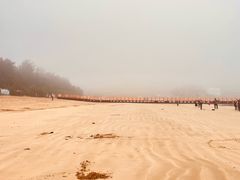 -大京沙滩